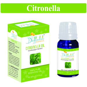 Citronella Essential Oil